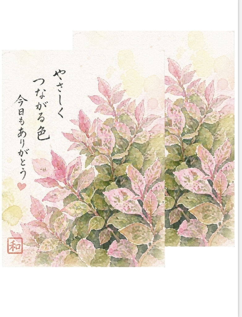 やさしく、つながる色｜初雪カズラの絵手紙（2枚セット）　Soft Colors That Gently Connect | Trachelospermum Etegami (Set of 2)
