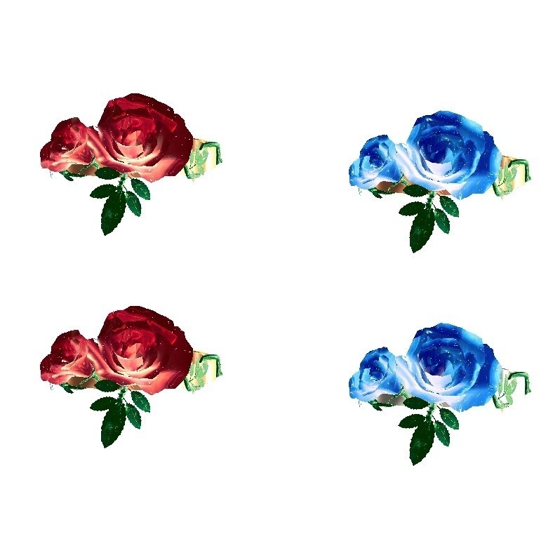 RoseAccessory