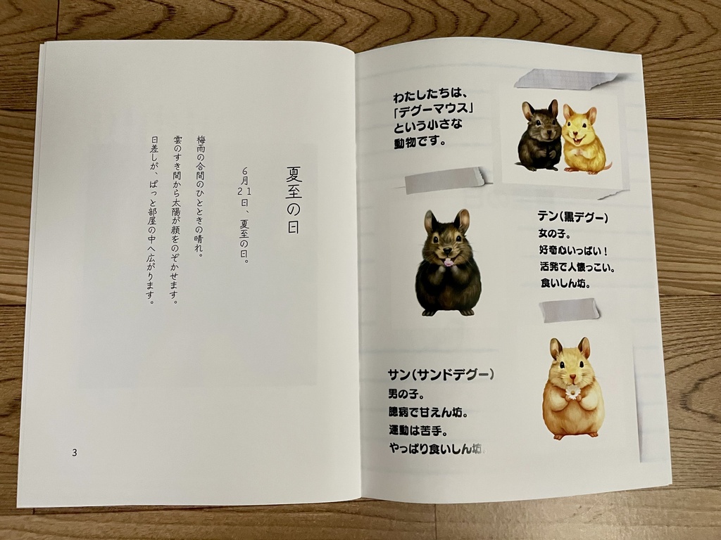 テンとサンの四季だより|夏至の日(A5冊子)