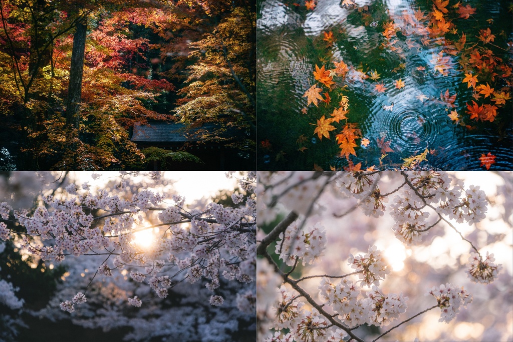 フォトプリント３