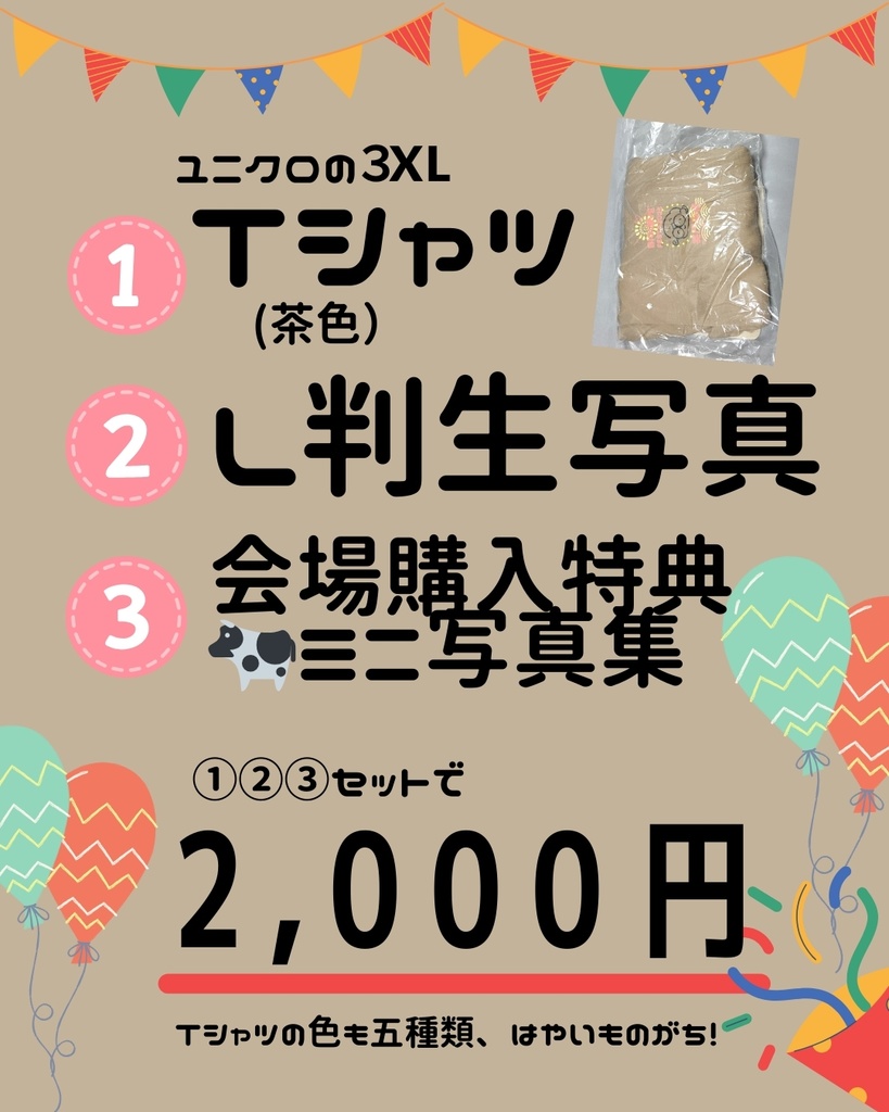 BIGLOVEFESTA★イベントTシャツ(茶色)セット
