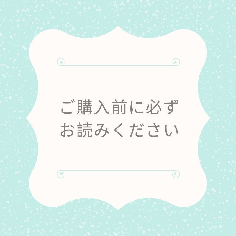 ＊ご購入前にお読みください＊