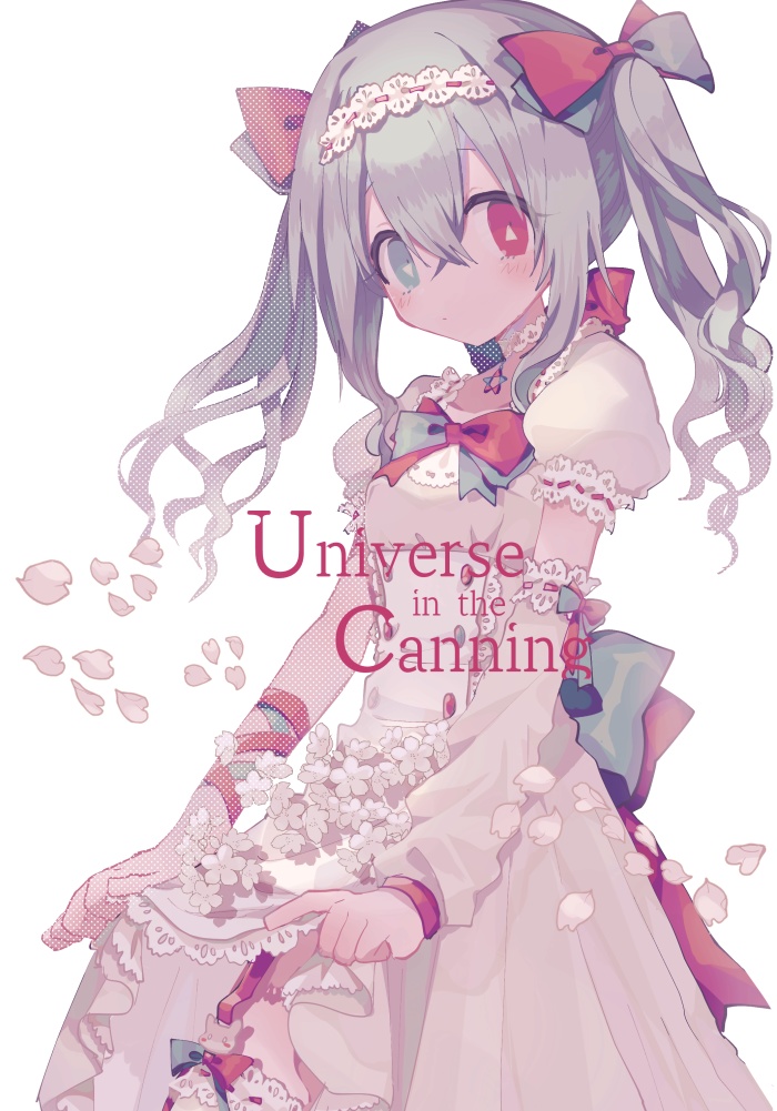 Universe in the Canning 