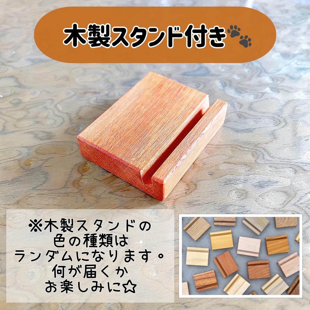 *展示のみ*【2024卓上カレンダー】人間っぽい猫『おちょう🎀と仲間たち』