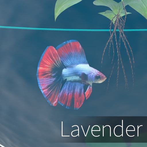 【VRC想定】ベタボール / Betta Ball