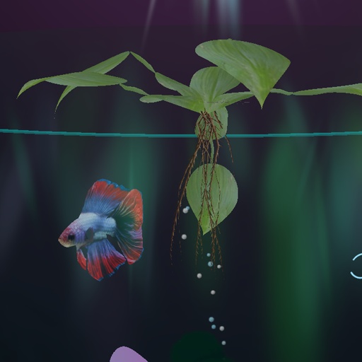 【VRC想定】ベタボール / Betta Ball