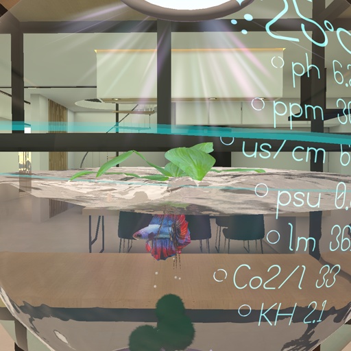 【VRC想定】ベタボール / Betta Ball