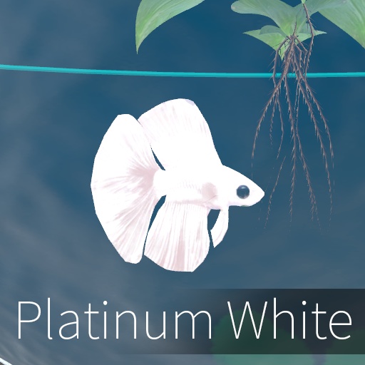 【VRC想定】ベタボール / Betta Ball