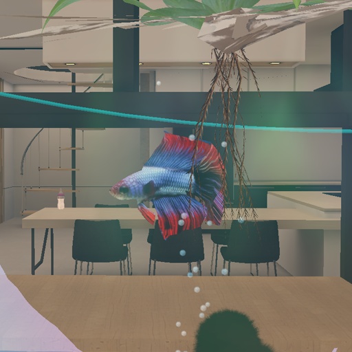 【VRC想定】ベタボール / Betta Ball