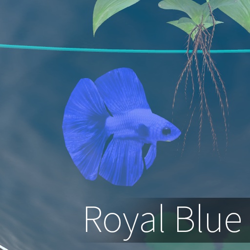 【VRC想定】ベタボール / Betta Ball