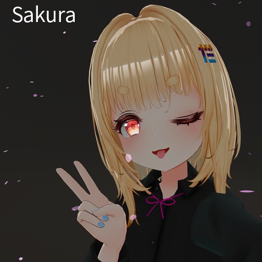 【VRC想定】カメラエフェクト / Camera Effects