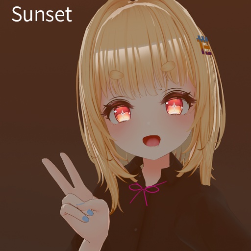 【VRC想定】カメラエフェクト / Camera Effects