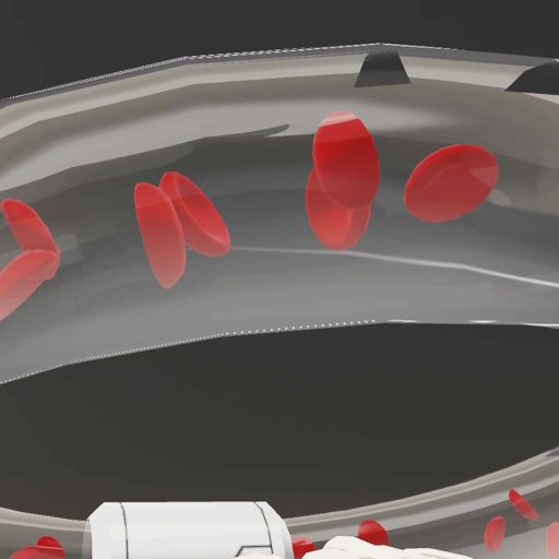 【VRC想定】赤血球ヘイロー / Red Blood Cells Halo