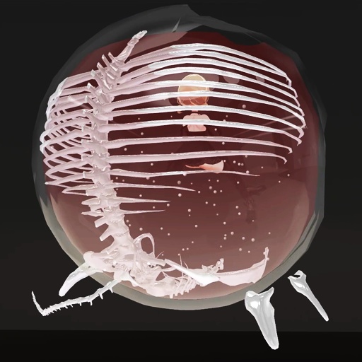 【VRC想定】スケルトンタンク / Skeleton Tank