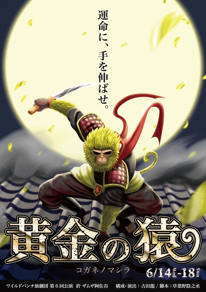 黄金の猿-コガネノマシラ-DVD