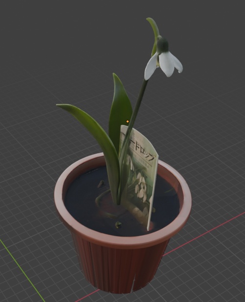 鉢入りスノードロップ