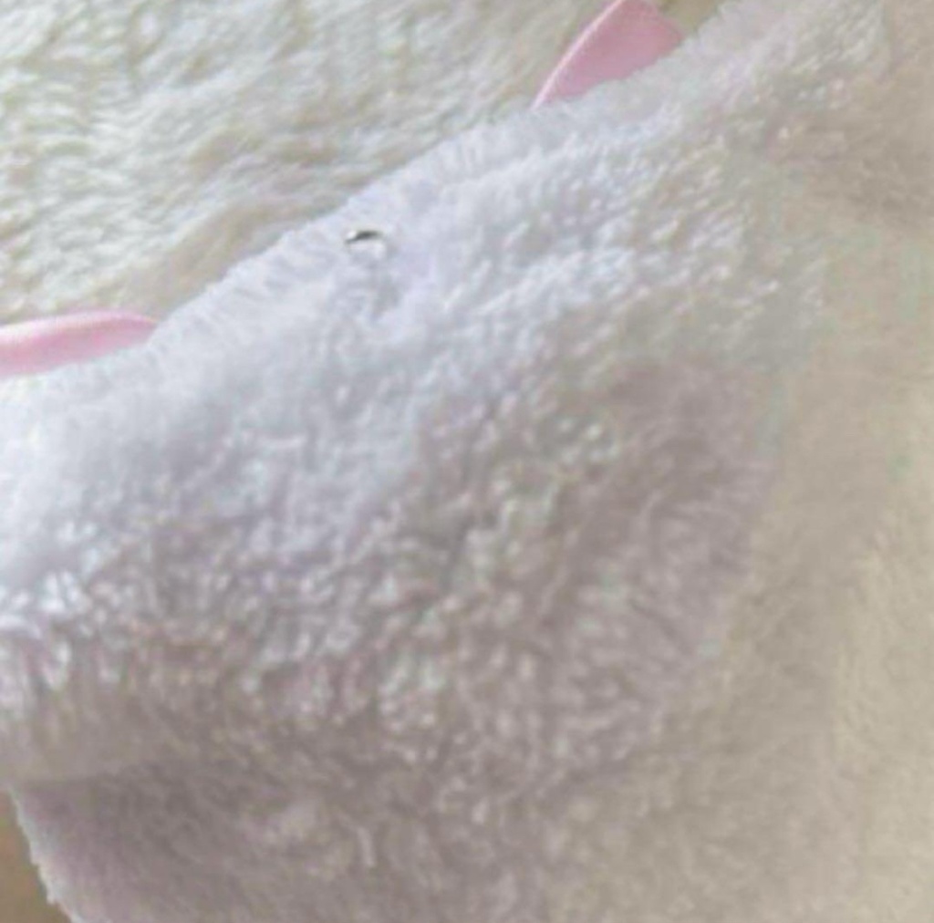 ぬい服 着ぐるみ ちびぐるみ 11㎝