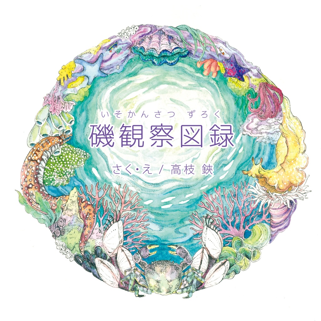 磯観察図録