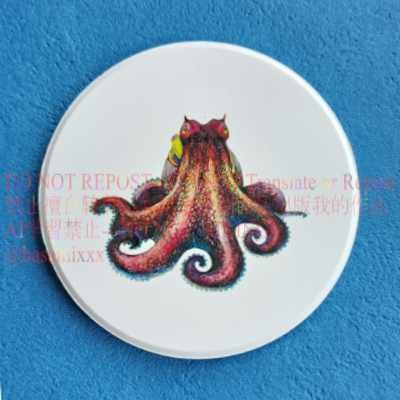 海の生き物コースター　メジロダコ