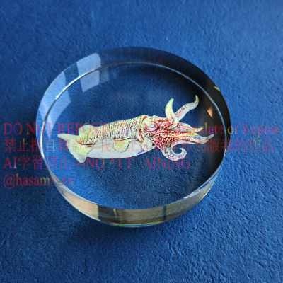 海の生き物ガラスペーパーウェイト　