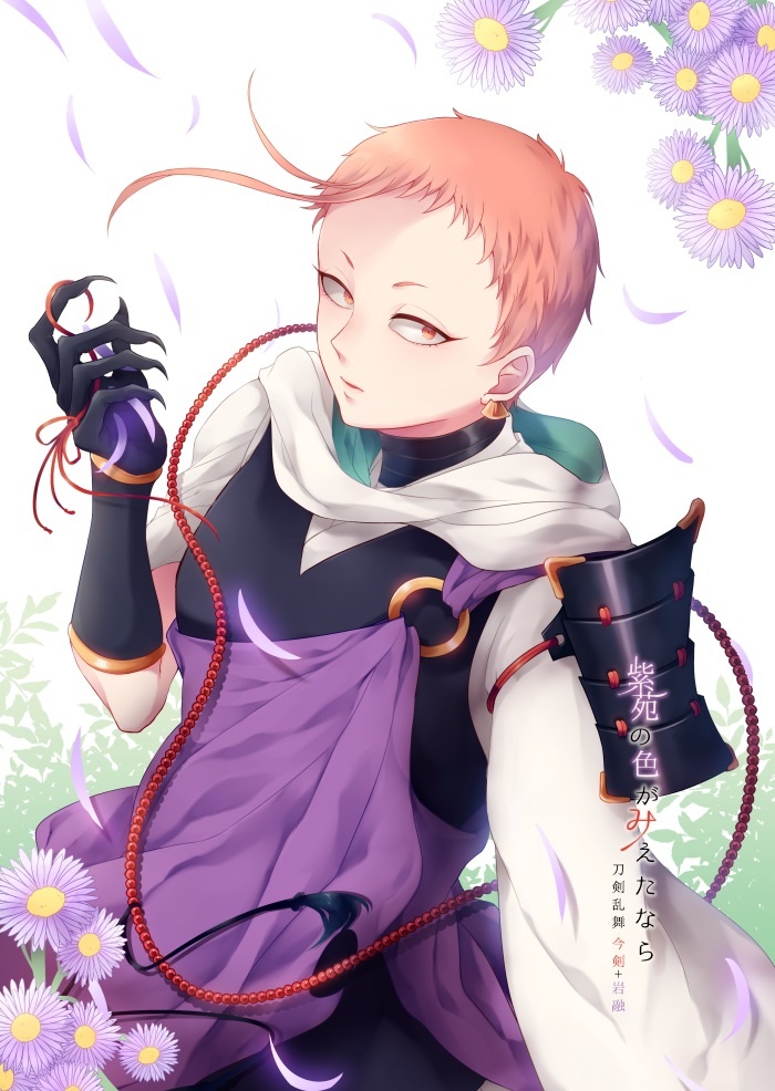 紫苑の色がみえたなら
