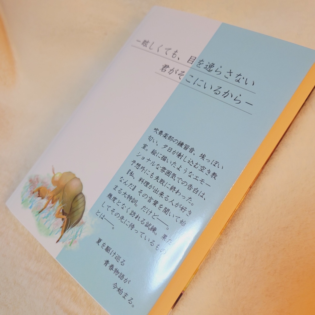 自作小説【メビウスの夏が切れた刻】