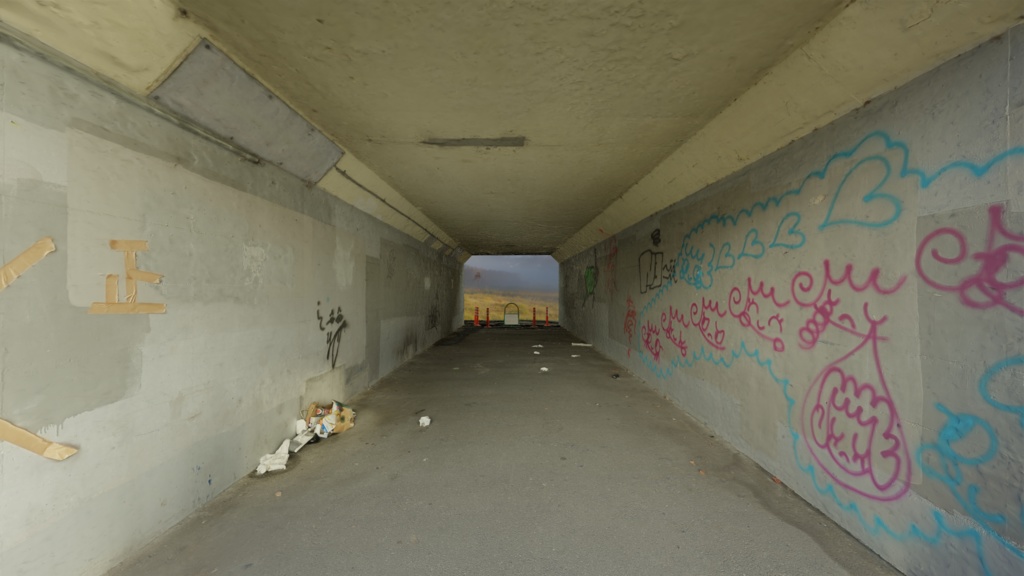 【フォトグラメトリ】治安の悪いトンネル