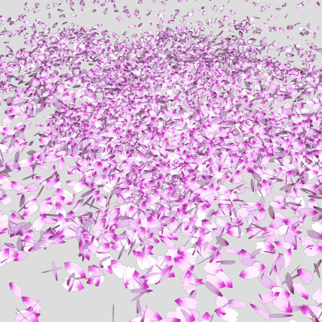 落ちた桜の花びらたち