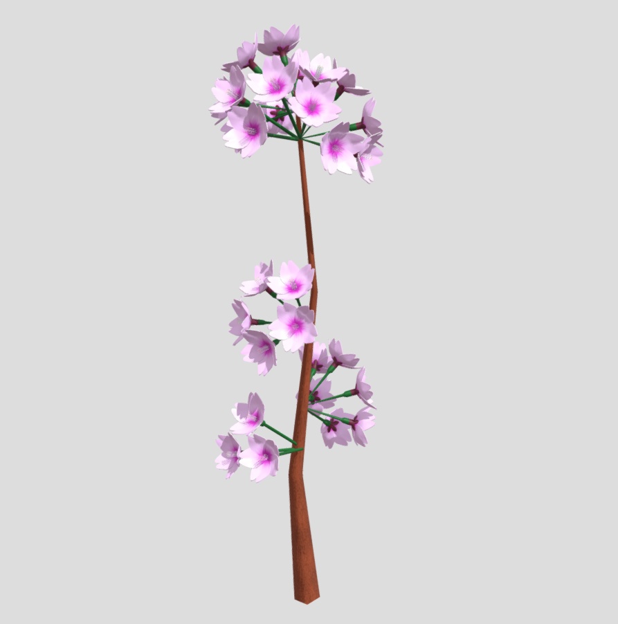桜の木の枝、サイズ小(5種類)