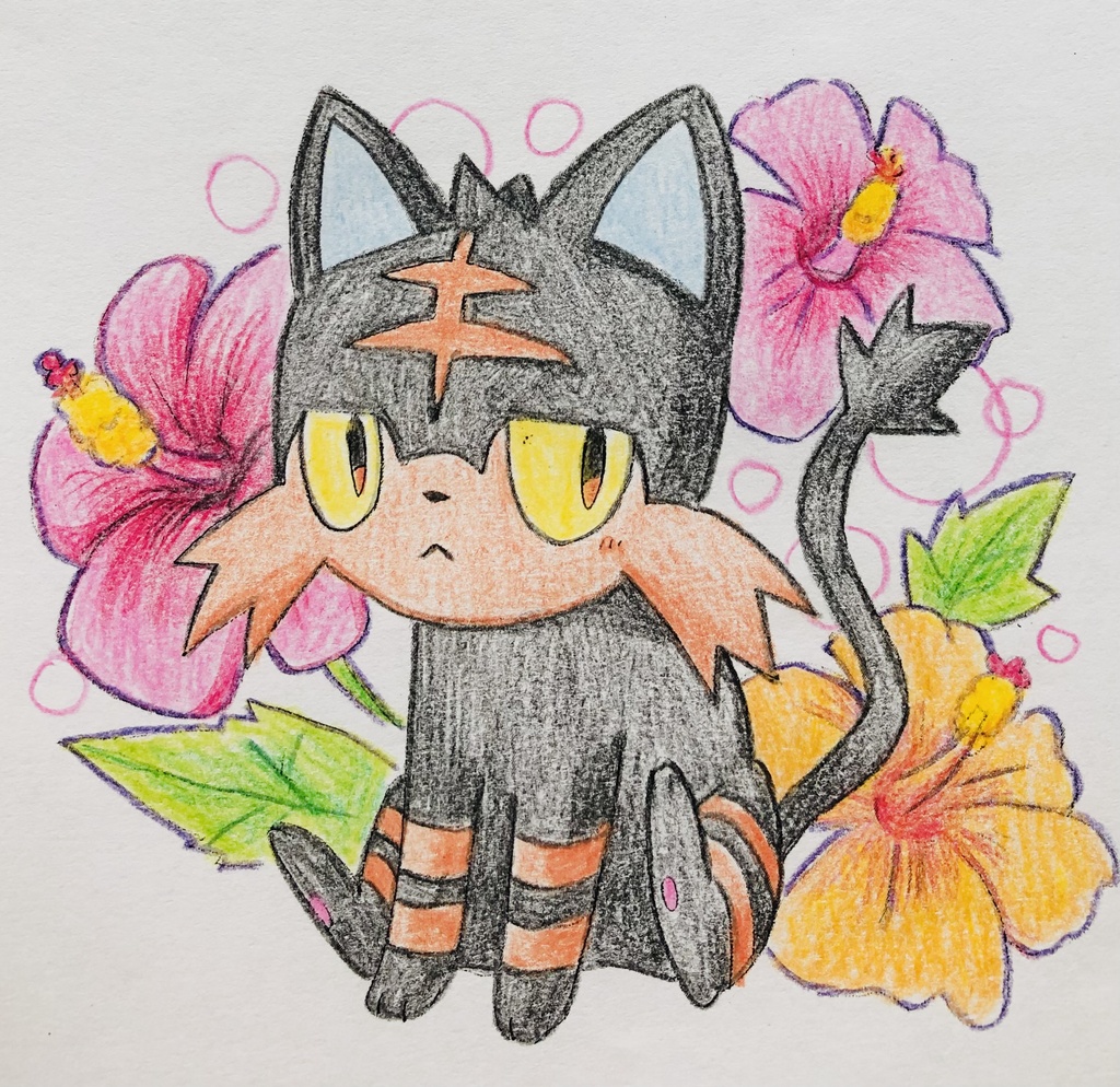 pkmnアローラセット