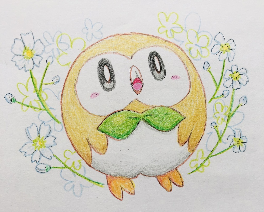 pkmnアローラセット