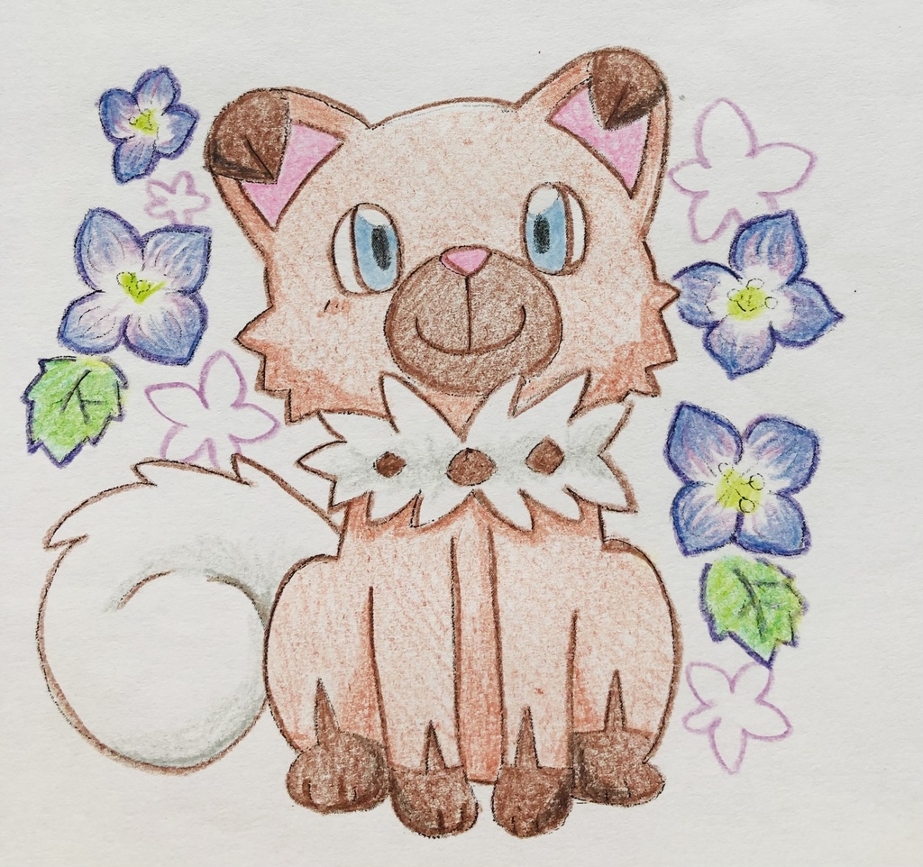 pkmnアローラセット