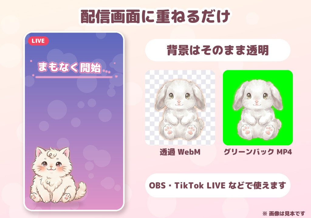 【配信用・透過WebM】ゆらゆら動く もふもふ動物 12匹|まばたき・ループ(1匹150円/12匹セット800円)