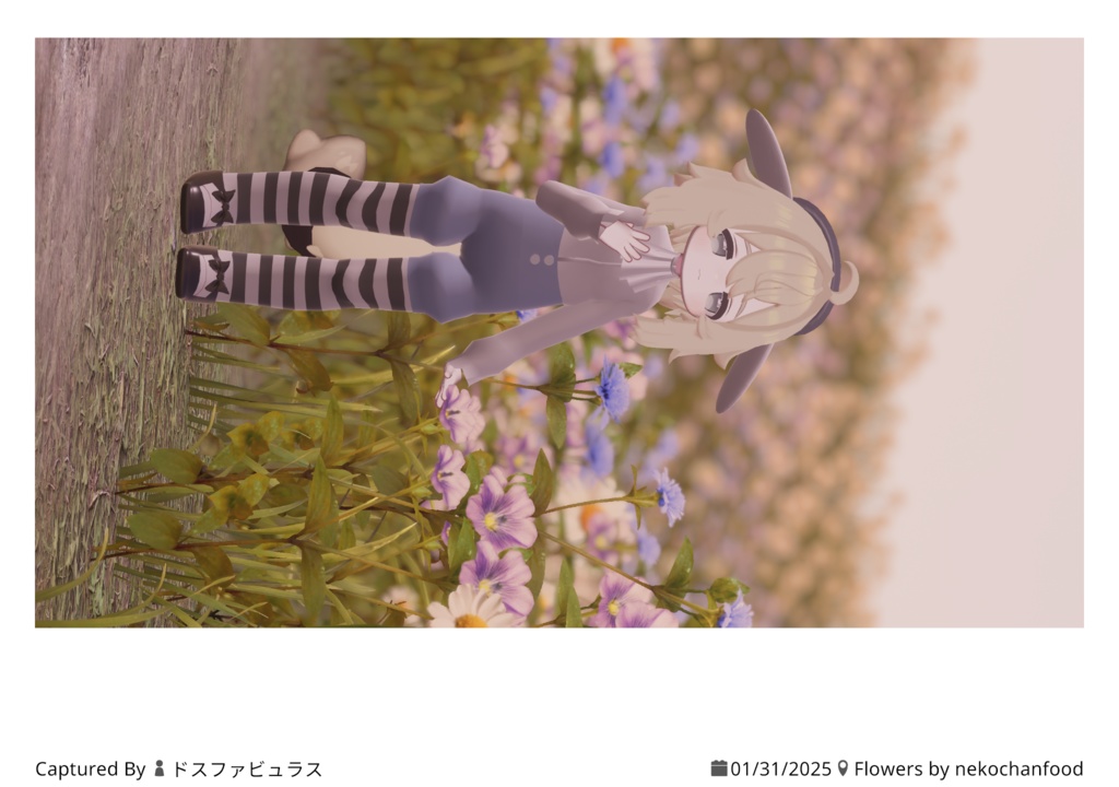 ❤しんぷるありす❤【まめふれんず】