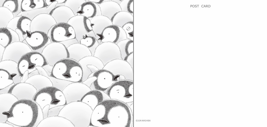 ぺんぎん 大型ポストカード(通販特典)