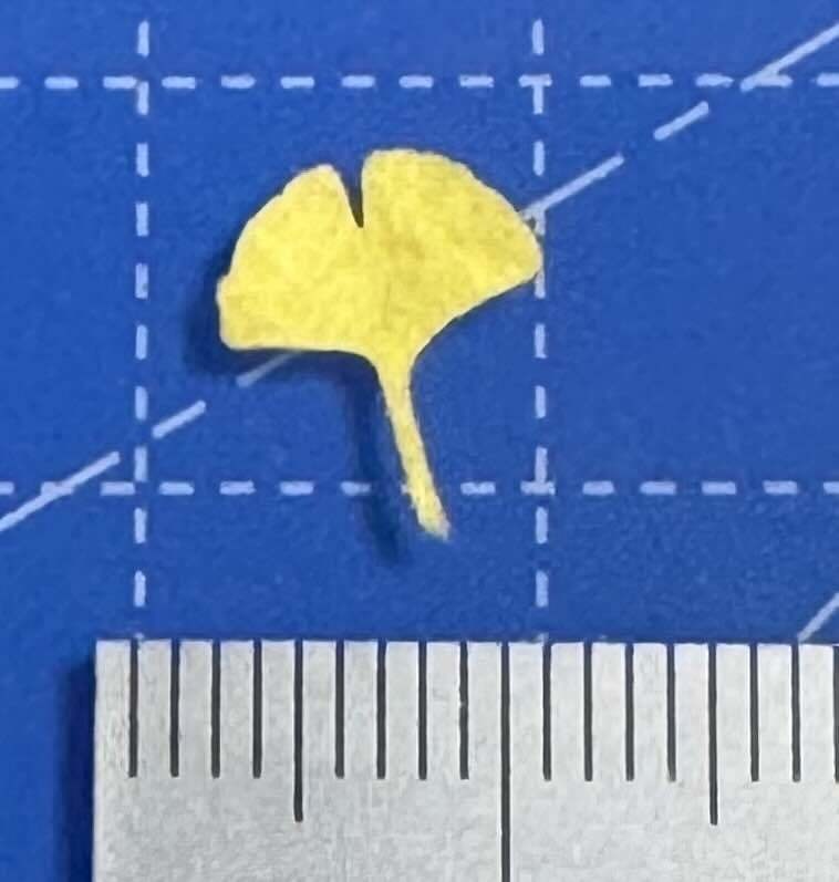 1/12 レーザーカット落ち葉