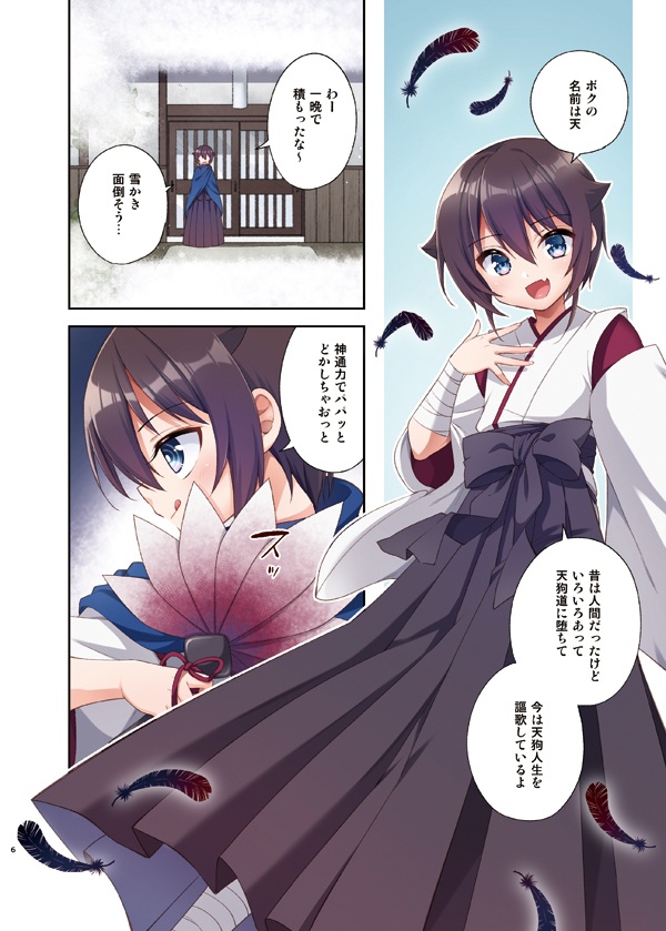 あやかしれこーど各種