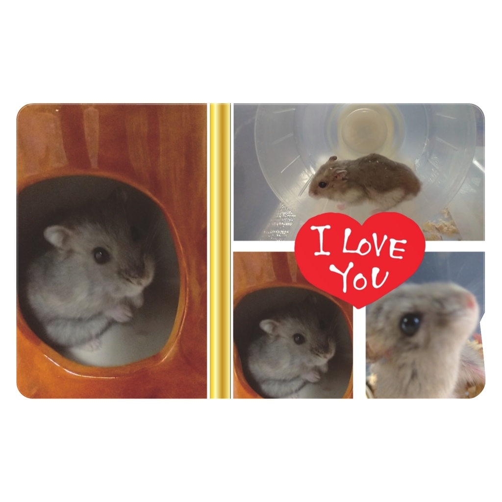 ハムスター(ICカードステッカー)