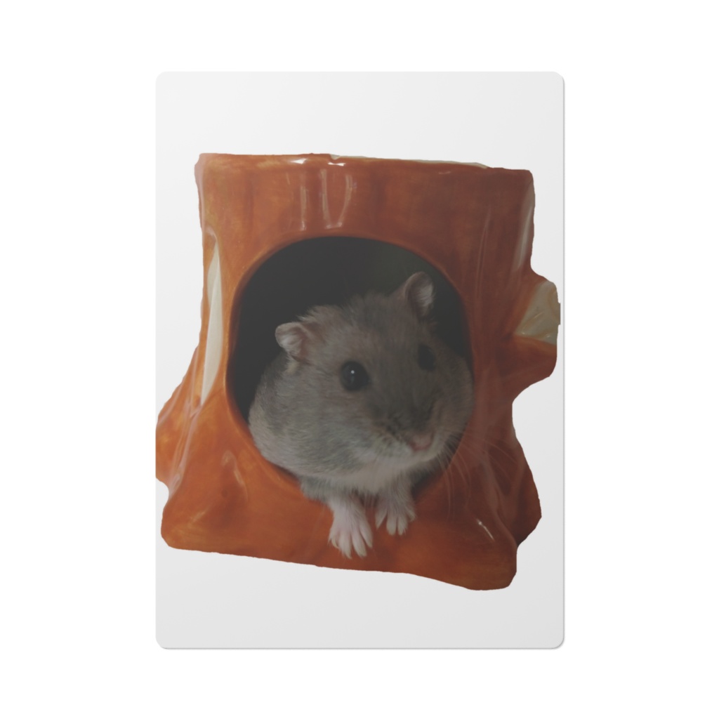 ハムスター（下敷き）