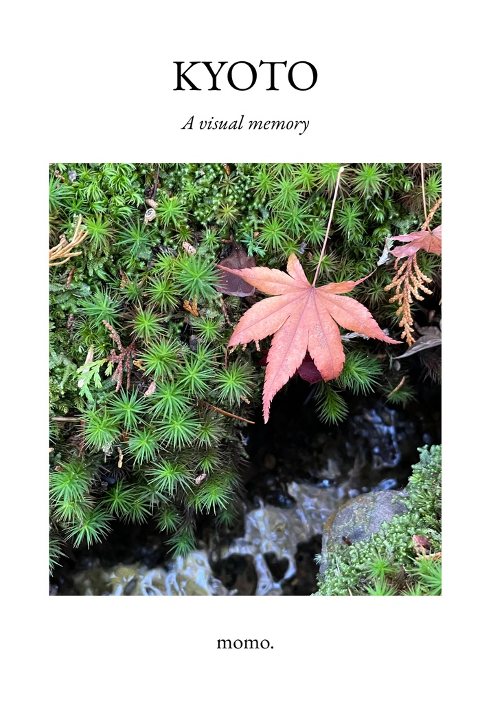 KYOTO -A visual memory-
