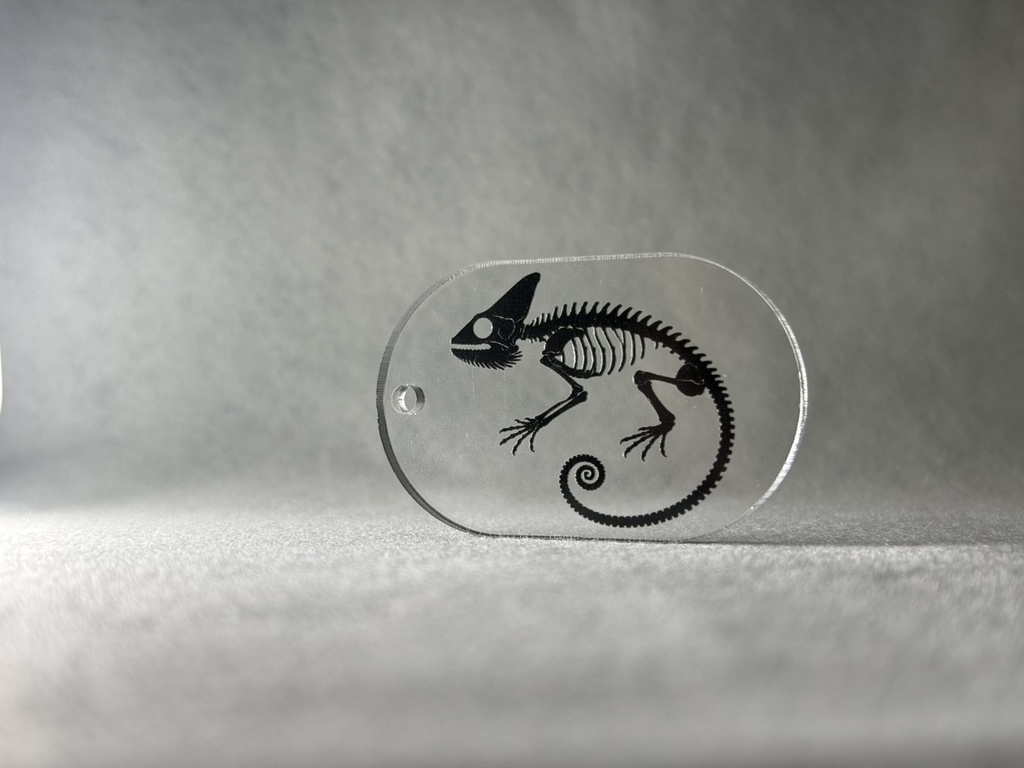 OST-01_Acrylic Key_Black