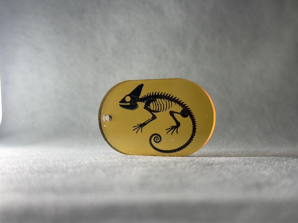 OST-01_Acrylic Key_Amber