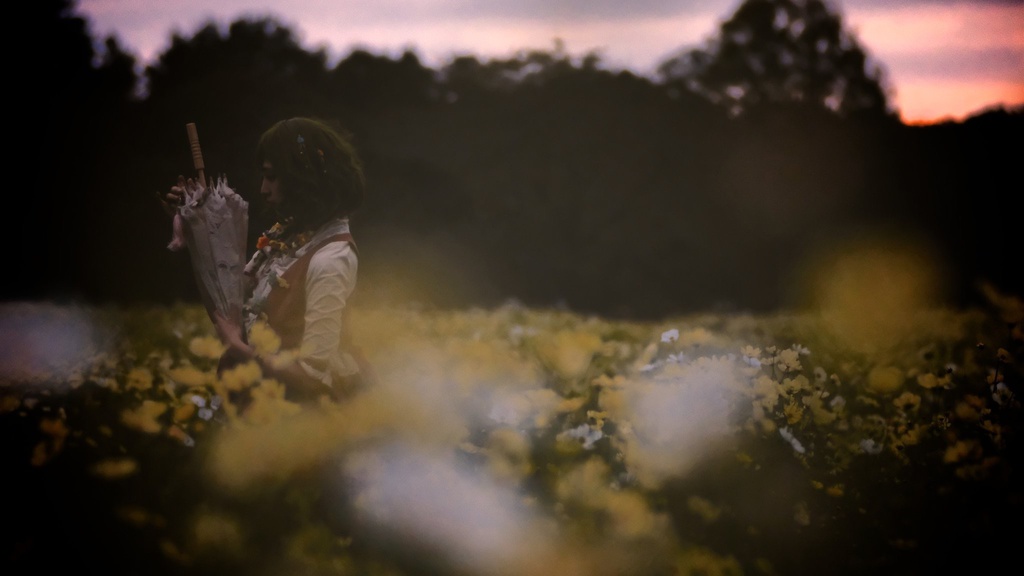 幽香写真集〜Nothing has happned...