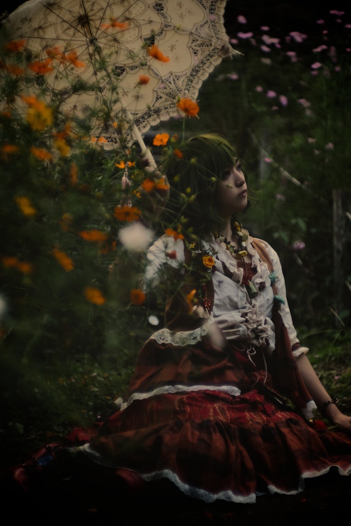 幽香写真集〜Nothing has happned...