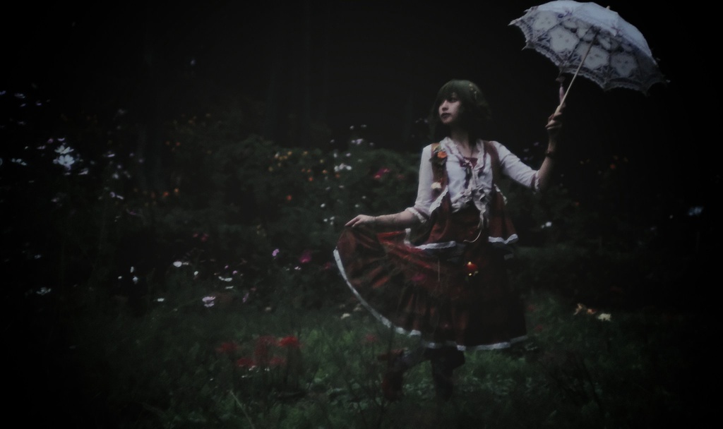 幽香写真集〜Nothing has happned...