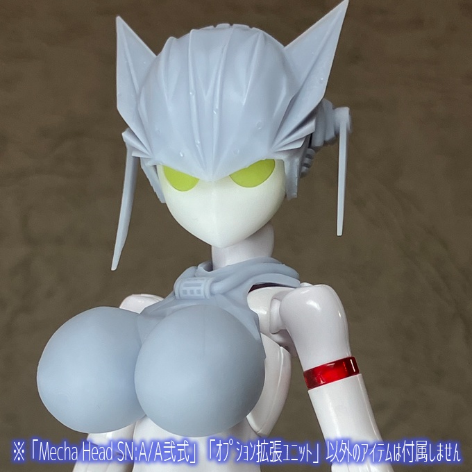 Mecha Head SN:A/A