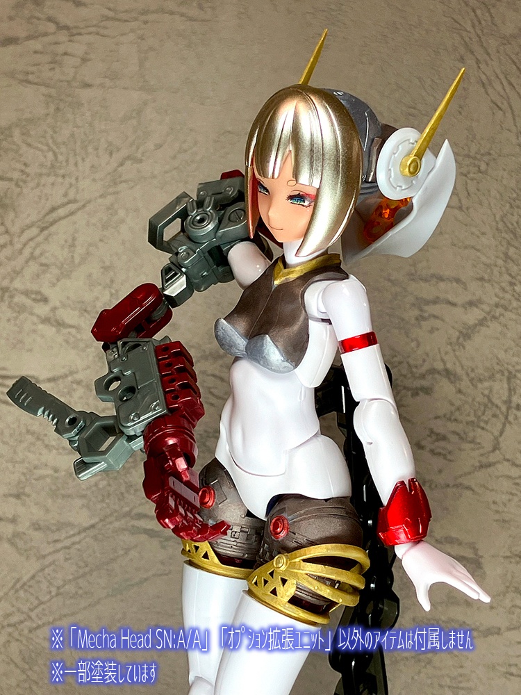 Mecha Head SN:A/A