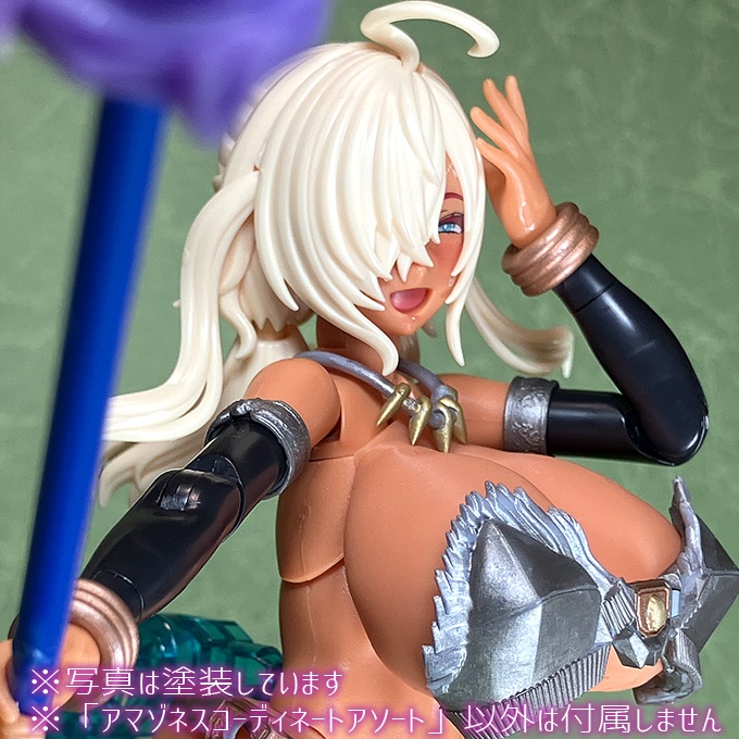 アマゾネス コーディネートアソート