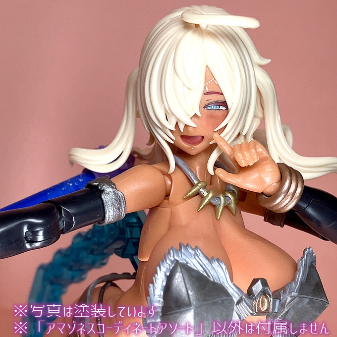 アマゾネス コーディネートアソート