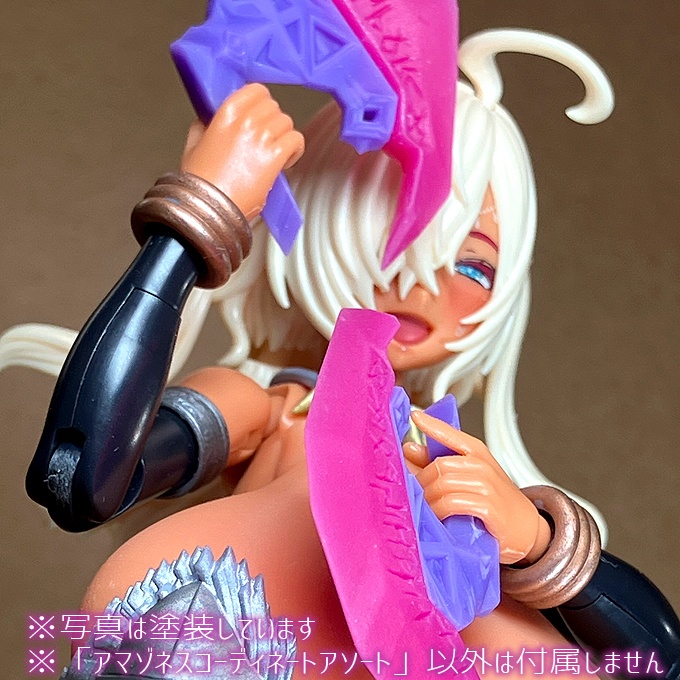 アマゾネス コーディネートアソート